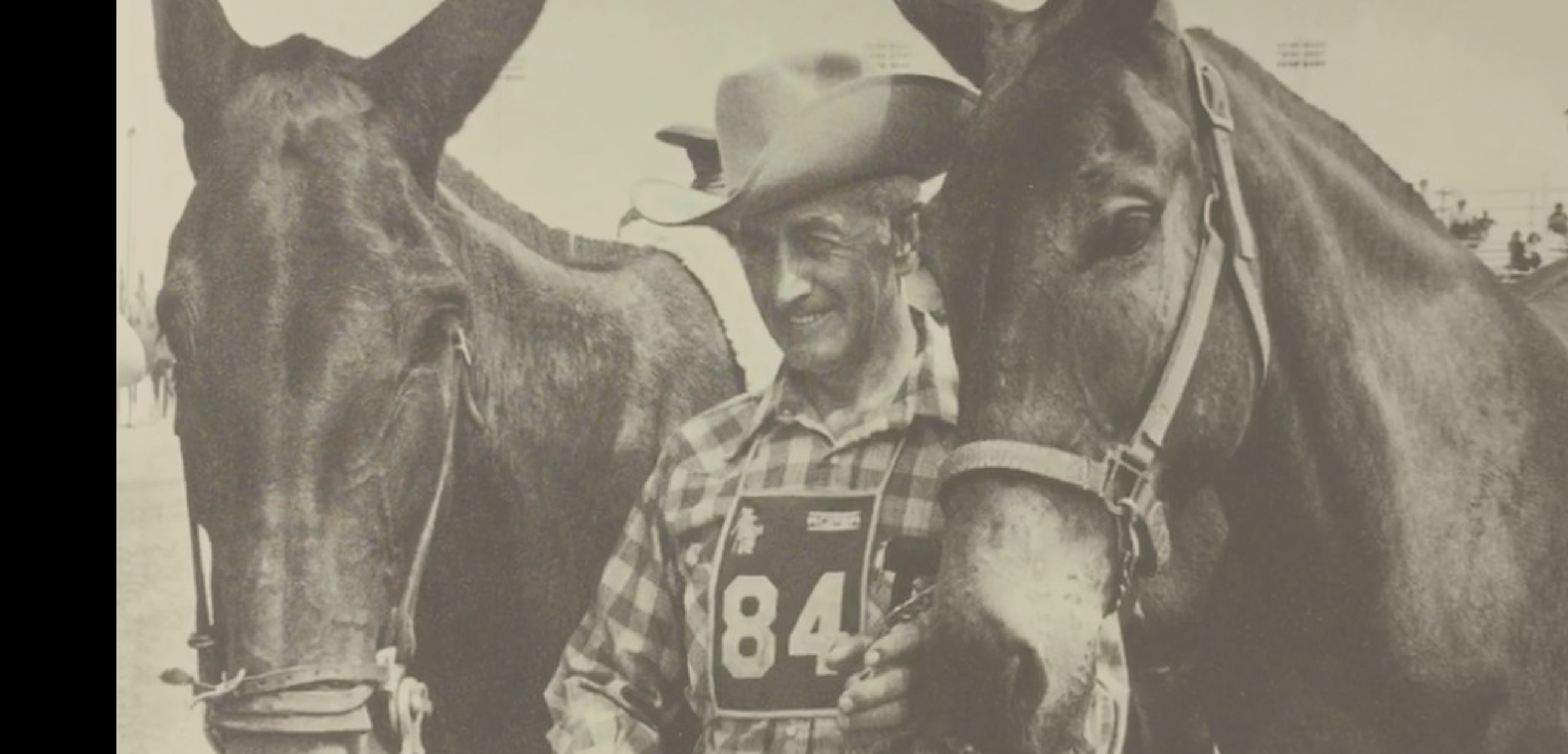 Header_MuleLord_mit schwarzem Rand